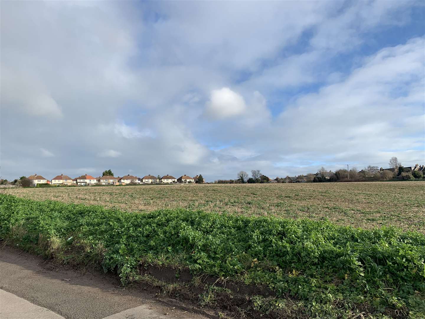 A hundred new homes or community woodland? The future of the site at Cross Road is still undecided