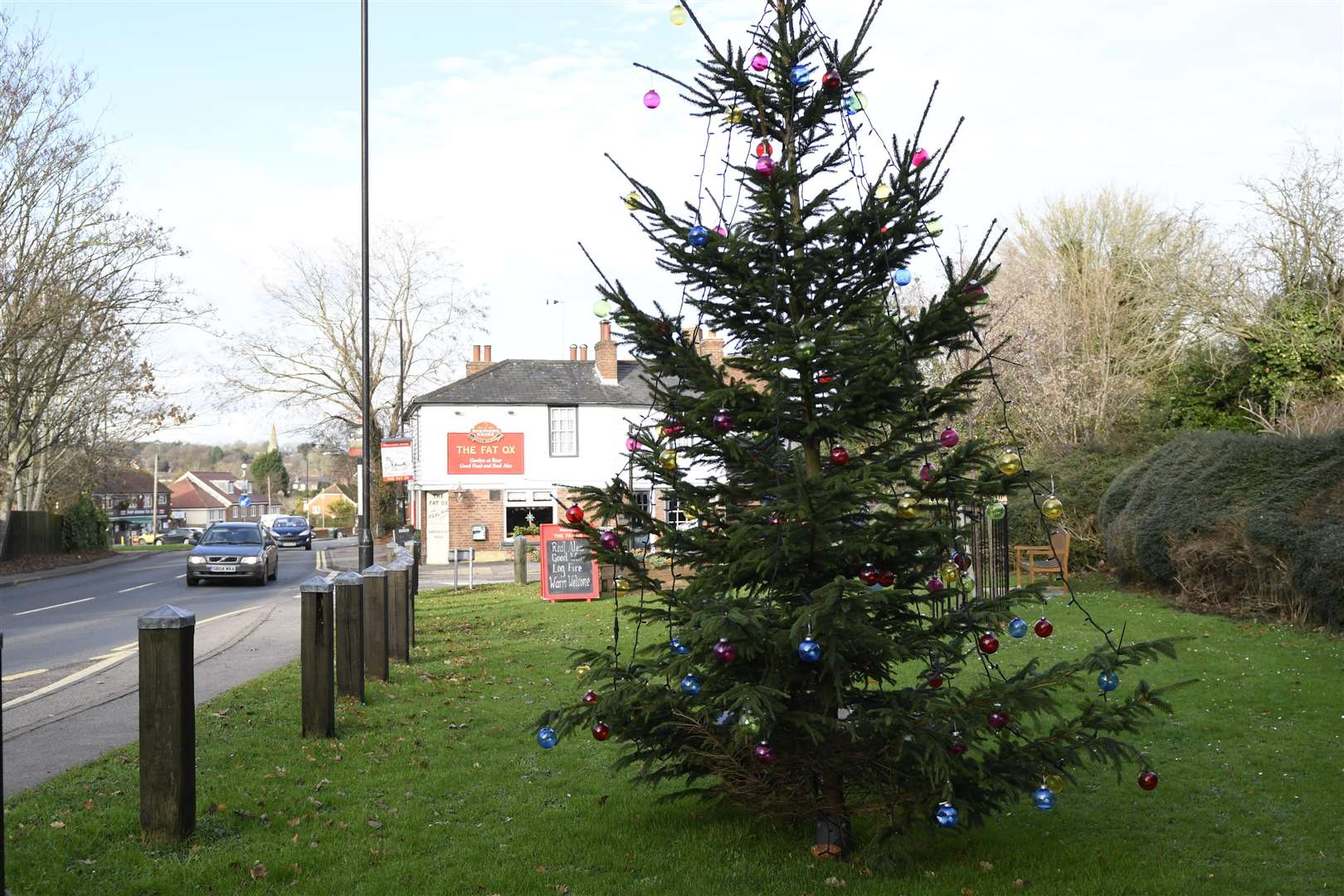 The real tree near the Fat Ox pub St Michaels