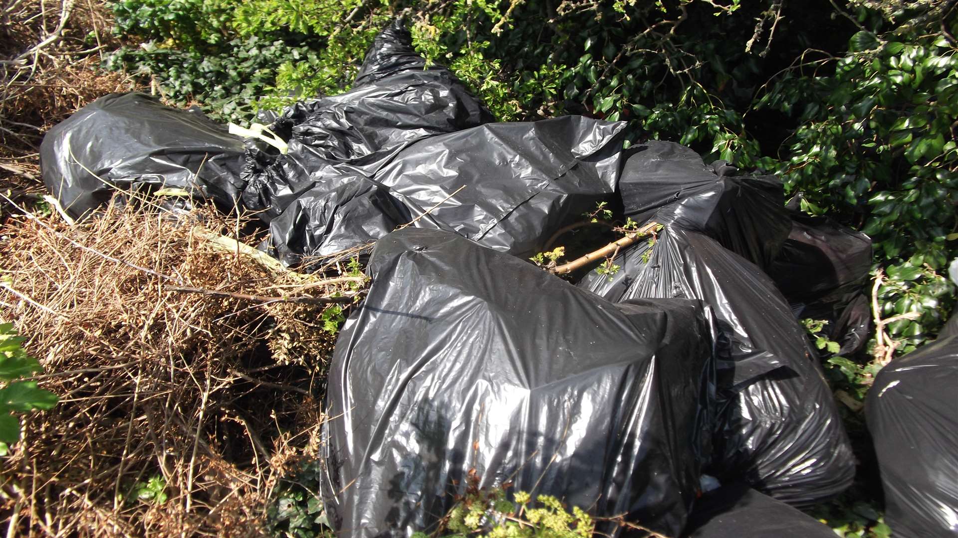 Rubbish was also dumped in Elmwood Avenue, Broadstairs