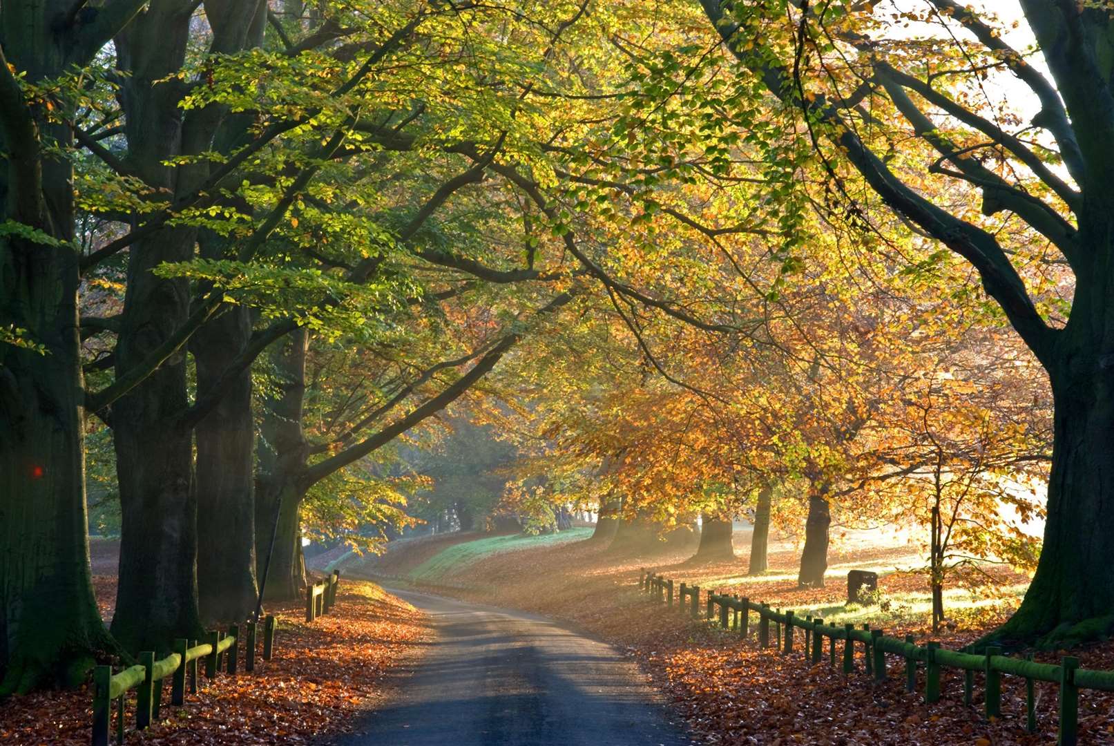 Mote Park, Maidstone