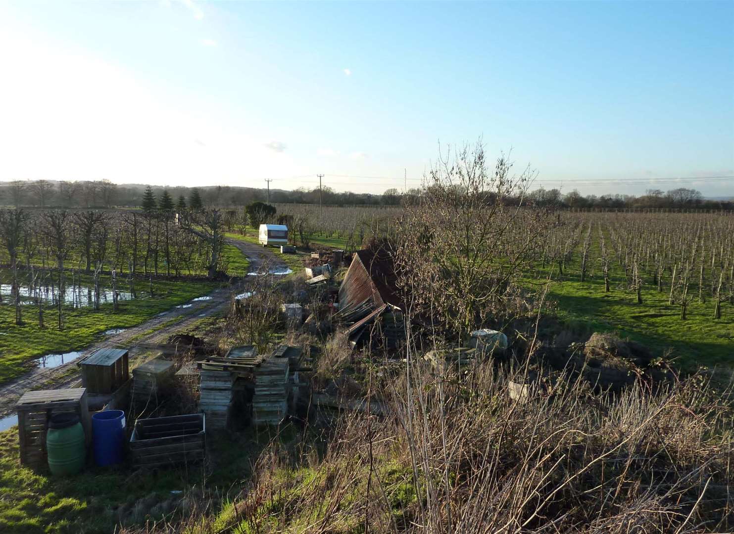 The site for the proposed Capel Grange solar farm