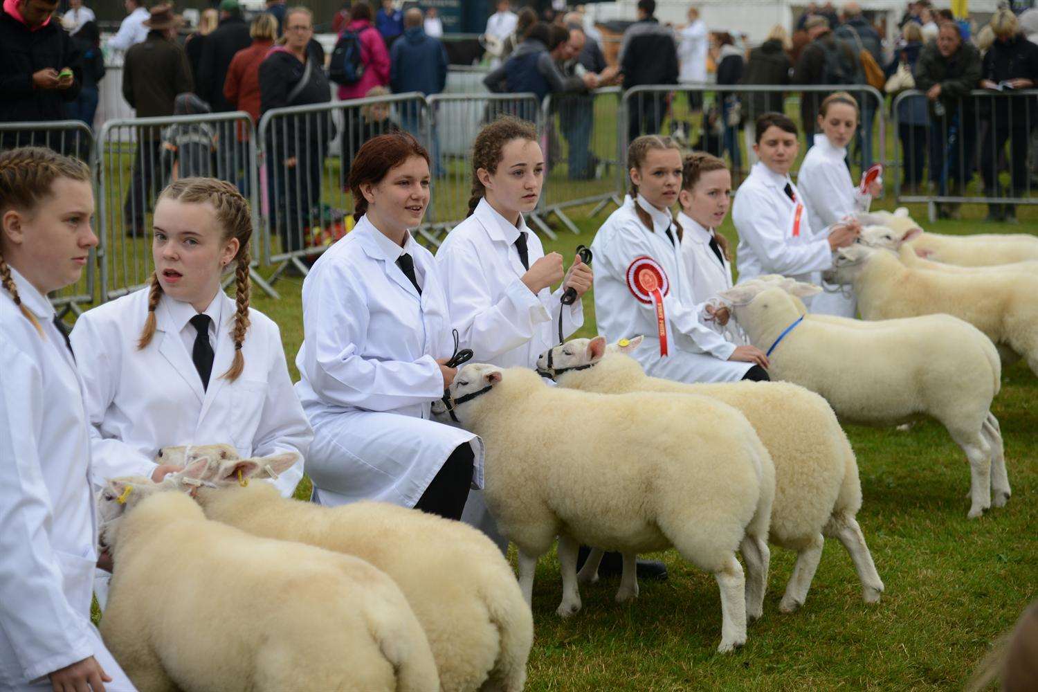 Young farmers in action