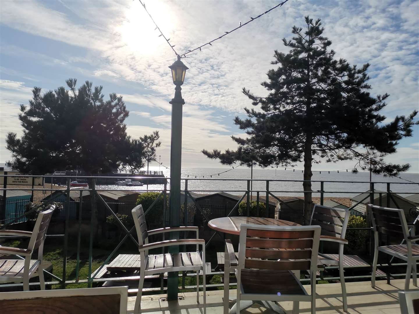 The Scotch Pines in the Pavilion in Broadstairs before they were removed