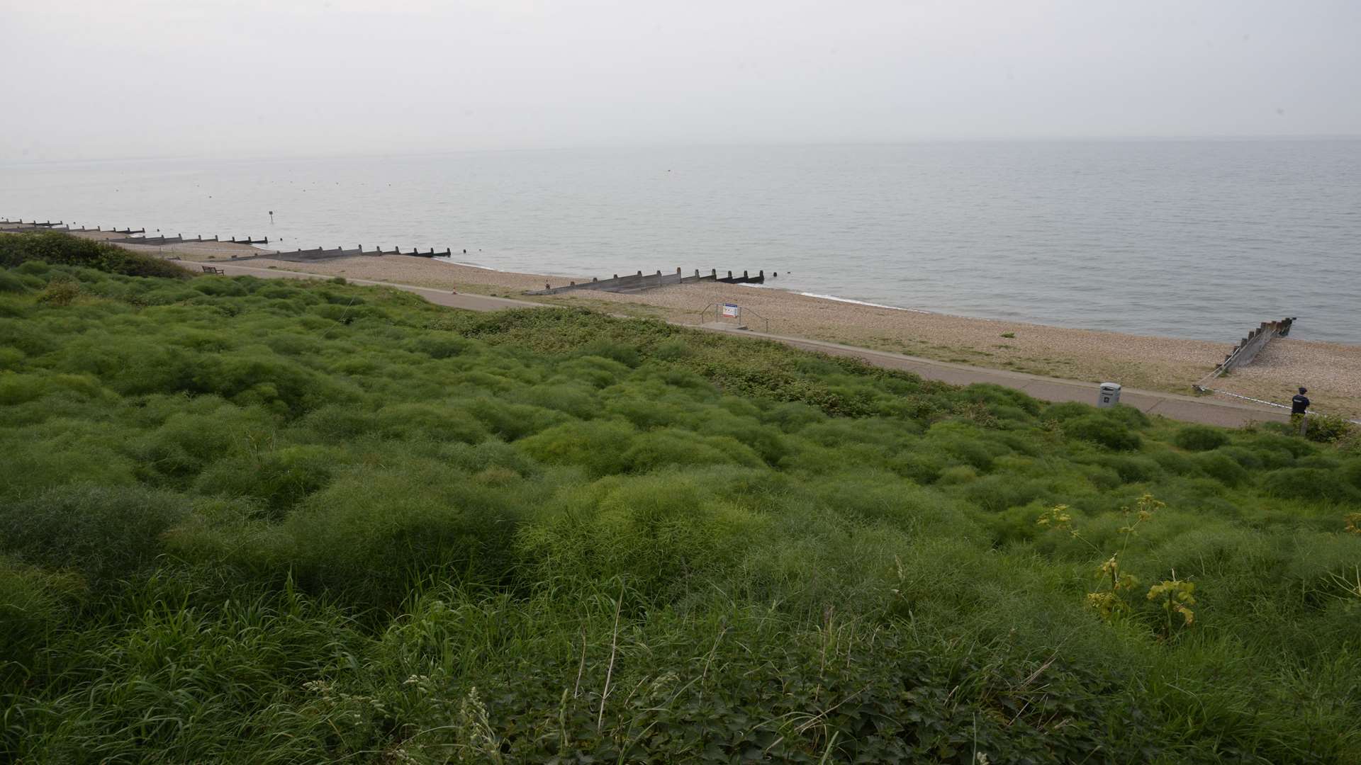 A member of the public found the device on the beach close to Marine Parade