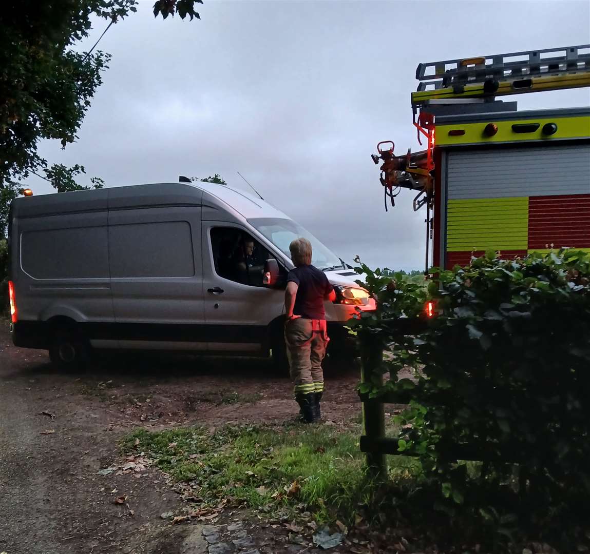 Rescuers were standing by to save the buzzard, but had to wait for the power to be disconnected