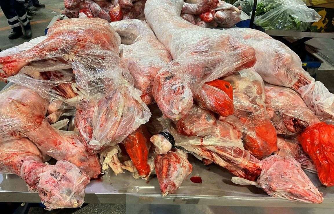 Sheep carcasses that were seized at the Port of Dover. Picture: Dover Port Health Authority