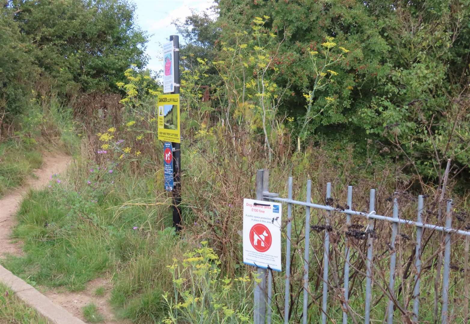 Dog walkers are being urged to keep their pets on the lead in the area. Picture: Kent Wildlife Trust