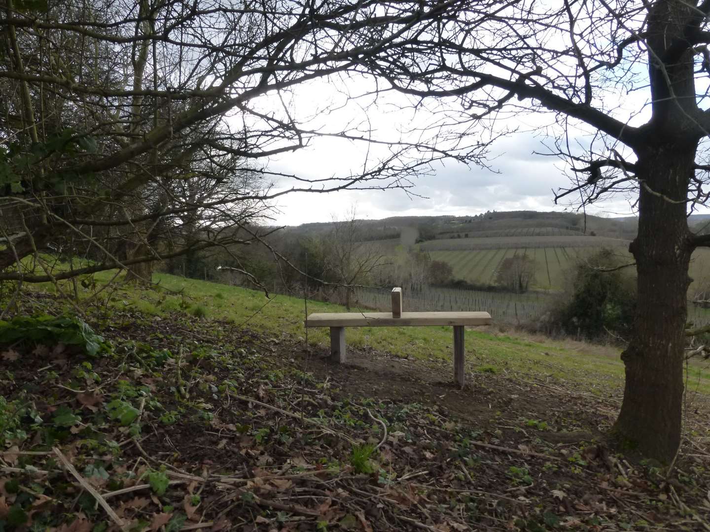 Golden Hill in Harbledown, Canterbury. Picture: National Trust/Nick Sinclair