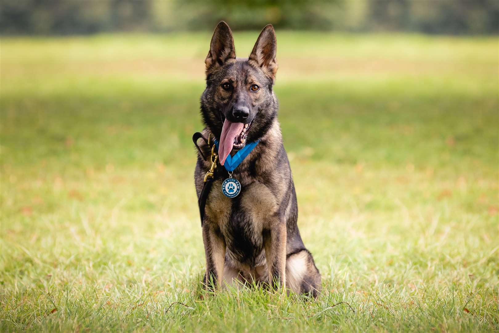 PD Calli with her award