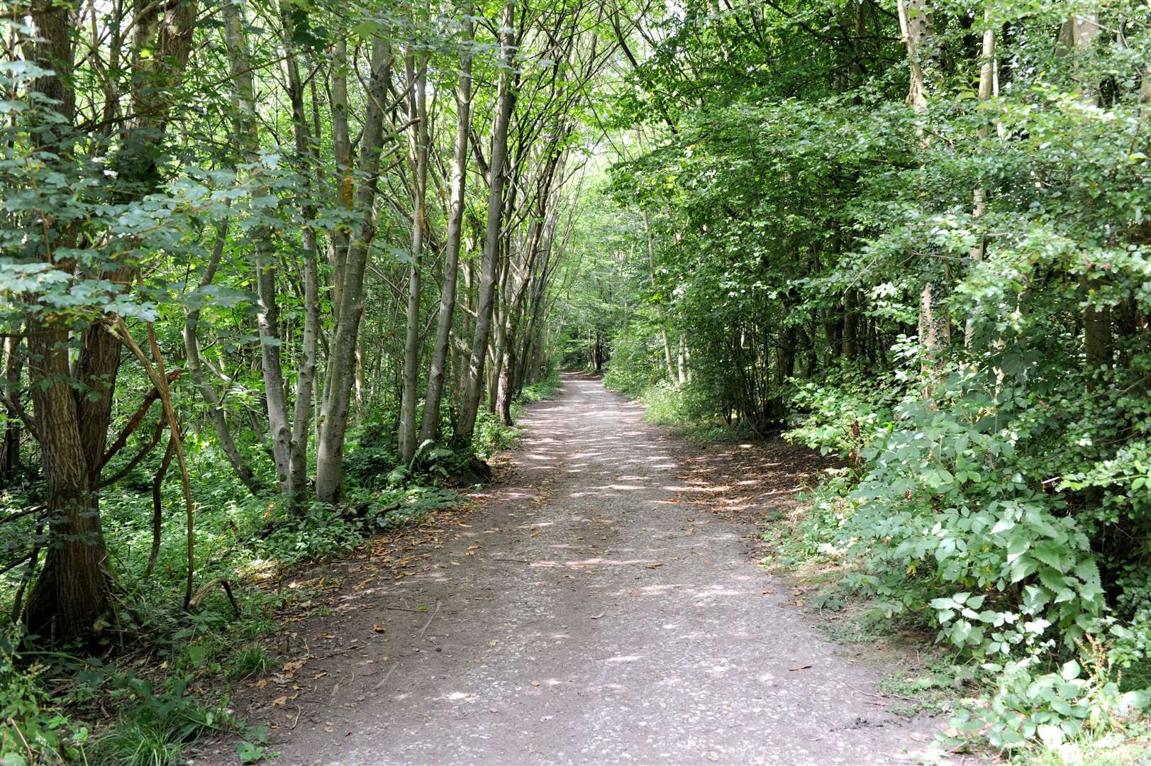 The country park has been named a Site of Special Scientific Interest. Picture: Simon Hildrew