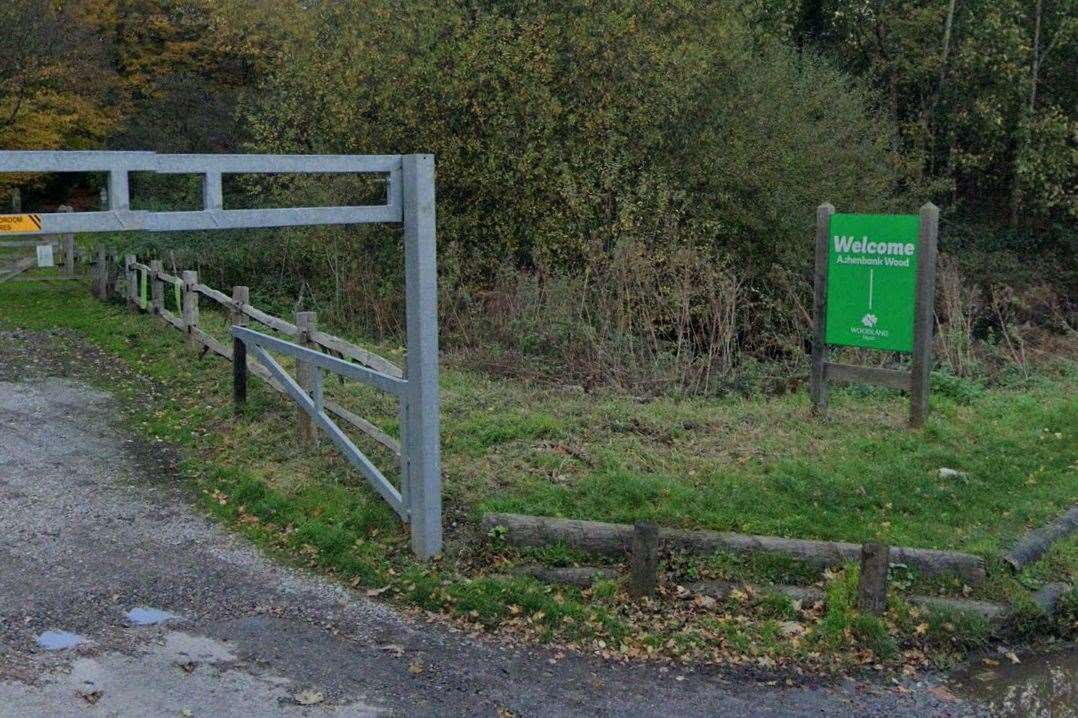 Ashenbank Woods, Halfpence Lane, Cobham. Picture: Google Maps