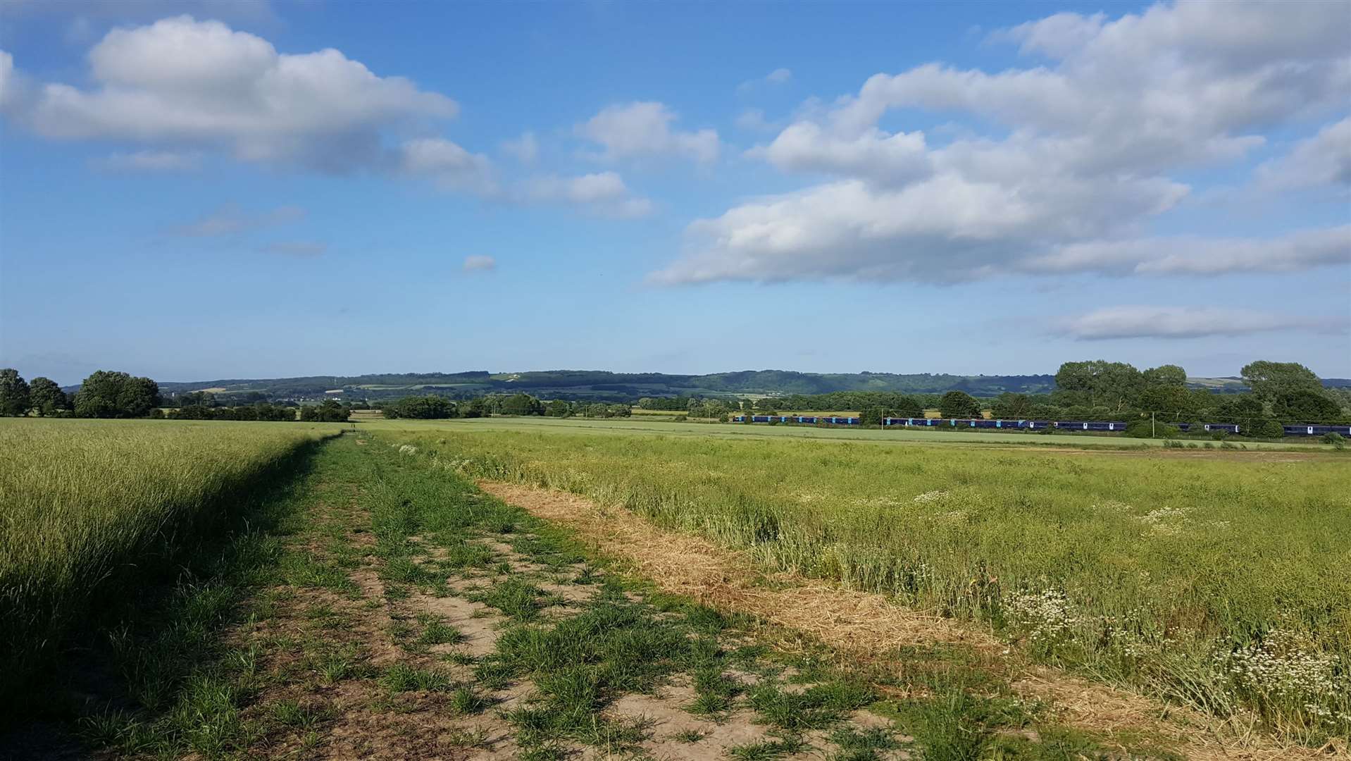 The land off Willesborough Road in Kennington where 725 homes will be built