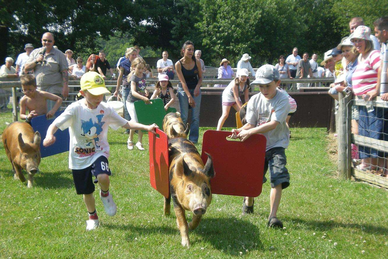 Rare Breeds Centre, Woodchurch