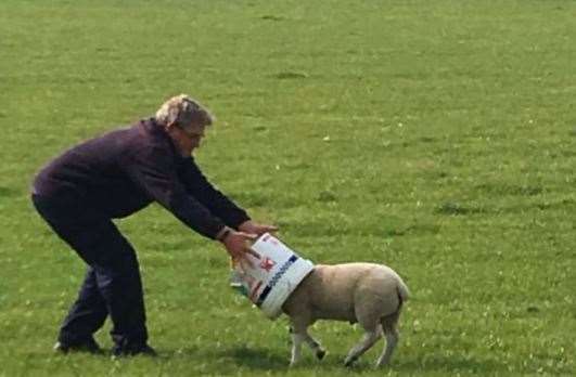 Helping hands; Mr Leyshon reaches out to remove the bucket. Picture courtesy of Owen Leyshon