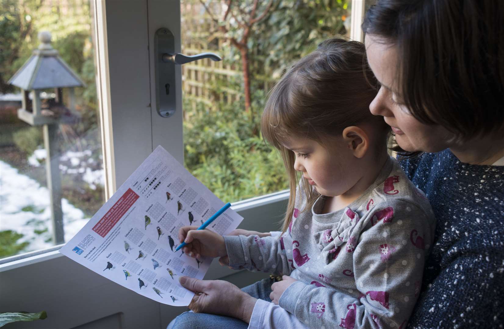 The RSPB runs the Big Garden Birdwatch every year - now it has launched the #BreakfastBirdwatch