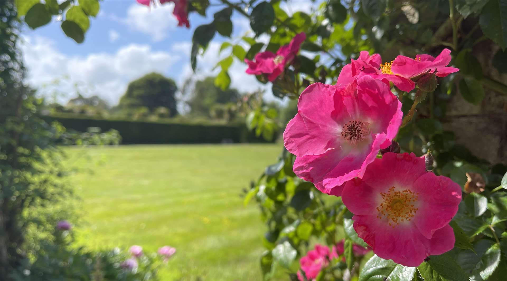 Copyright: Hever Castle & Gardens