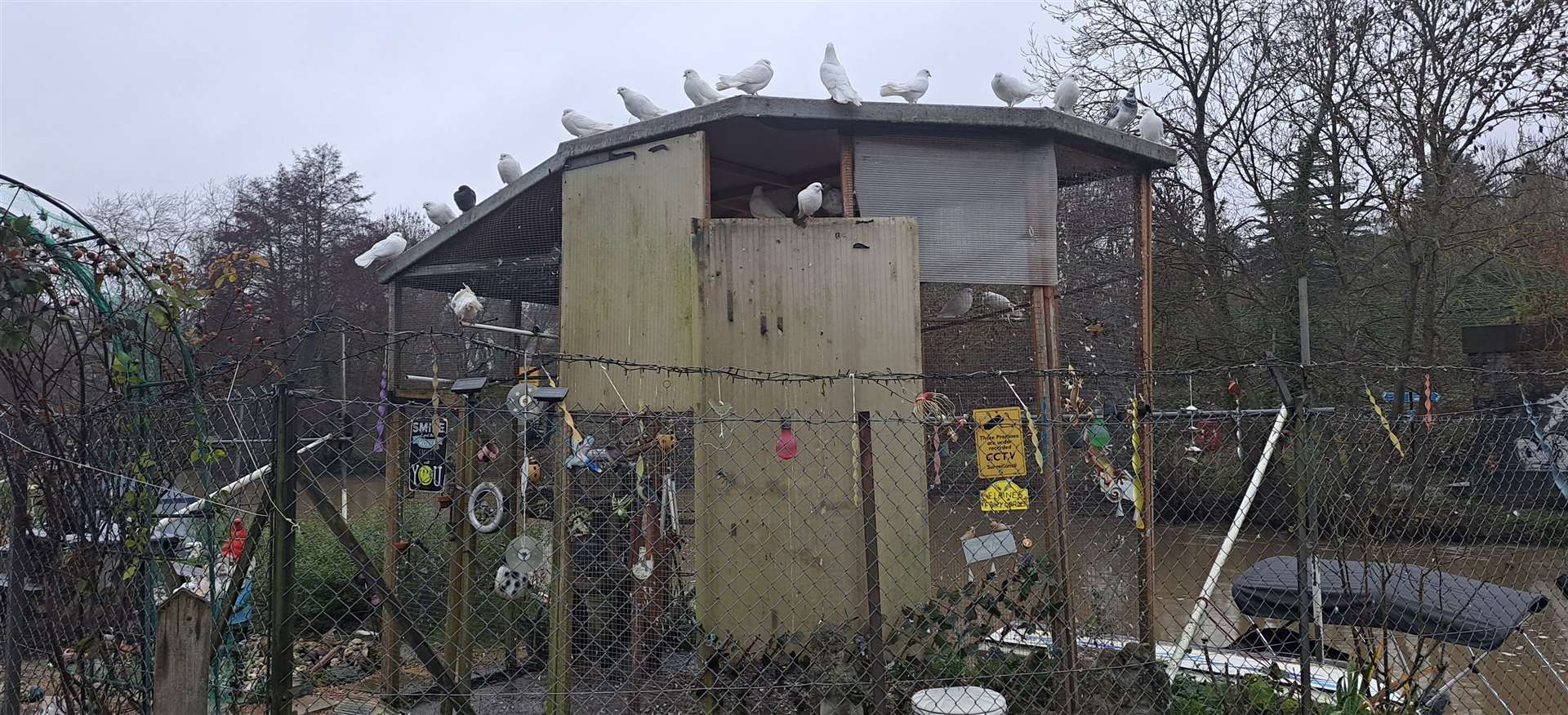 One of the unusual features of the area is this dovecote which lies next to the site