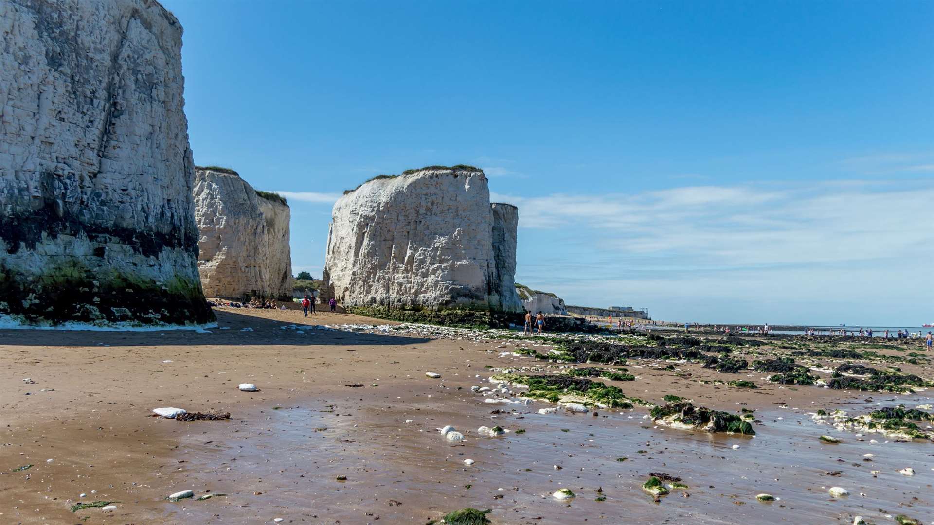 The rave, planned for Botany Bay, could spread infection and create a lot of litter and noise