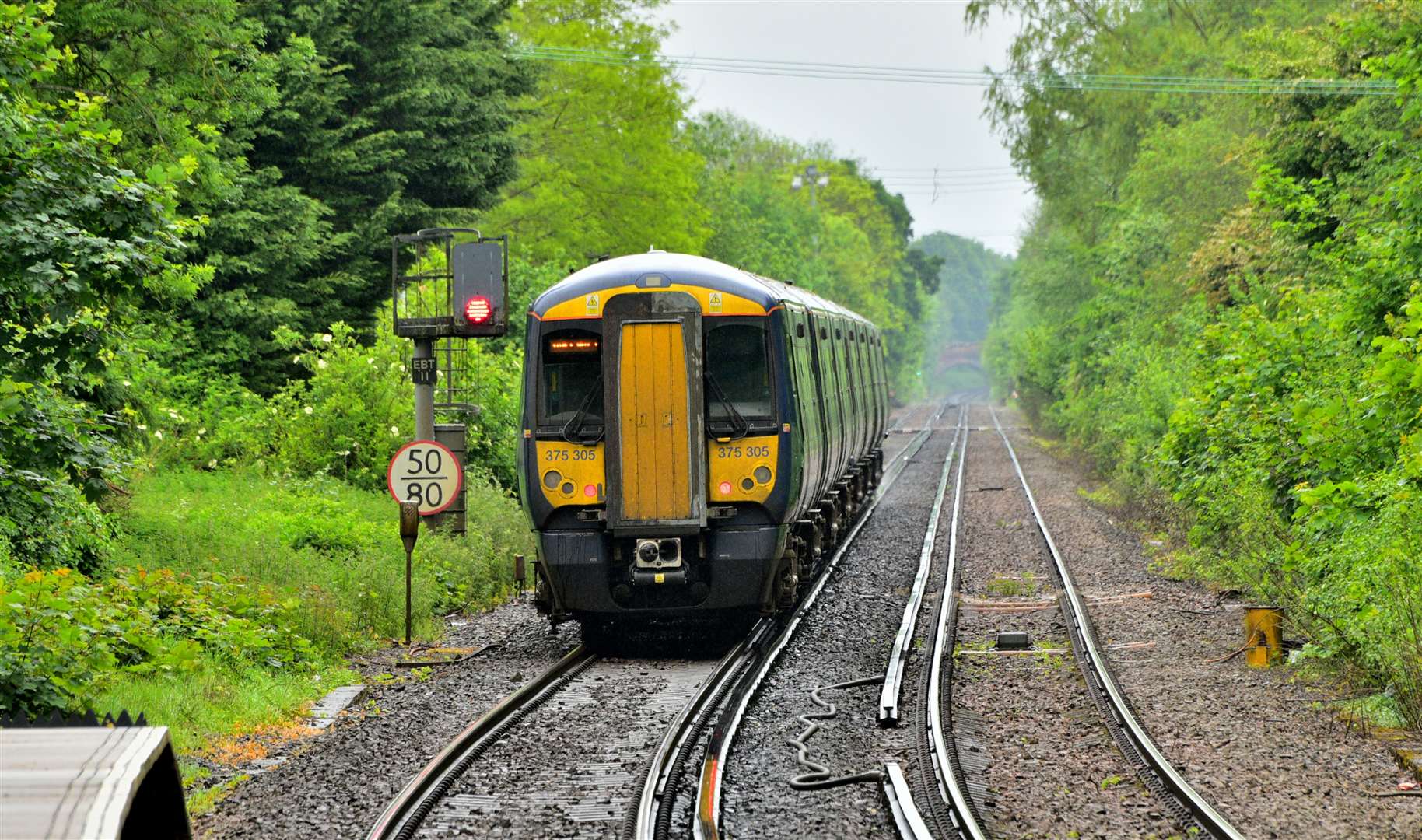 Leaves on the line can affect the ability of train wheels to grip the rails. Picture: Southeastern