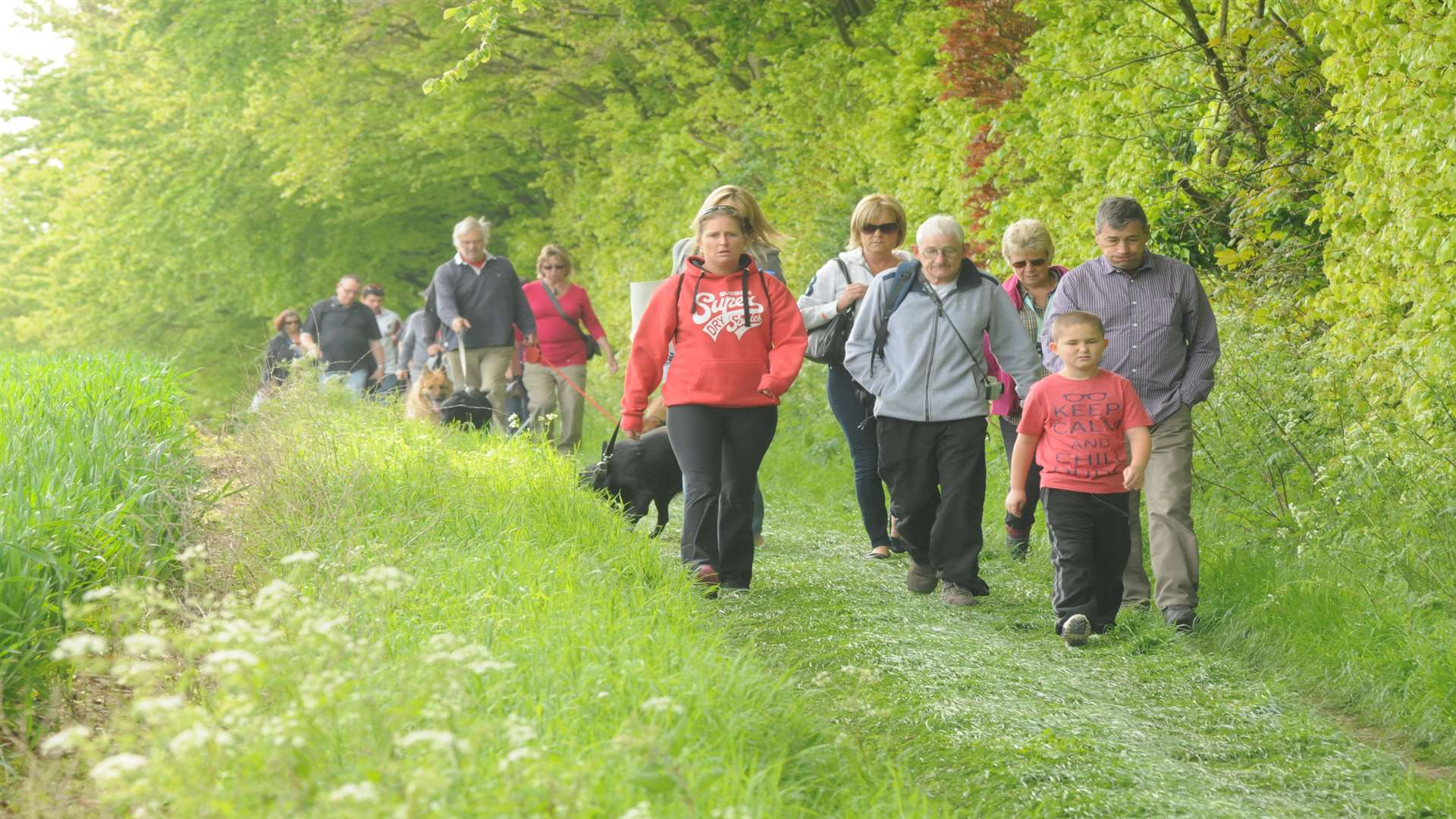 Heart of Kent Hospice Bluebell Walk