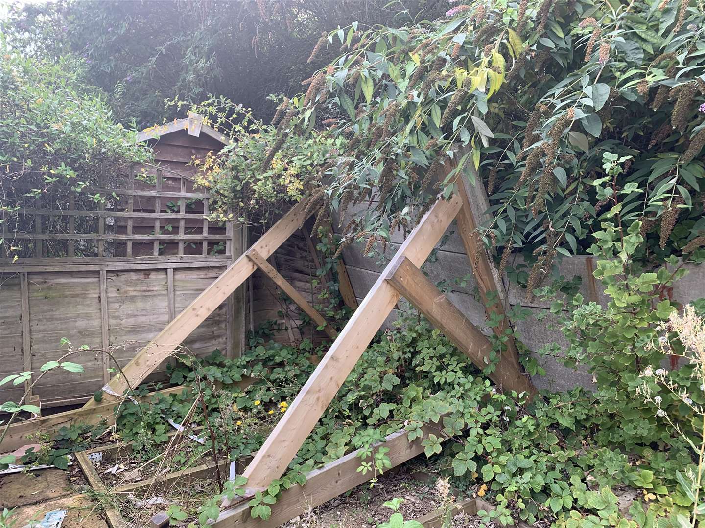 The wall of Anne Harrison's garden had to be propped up by wooden beams (15897036)