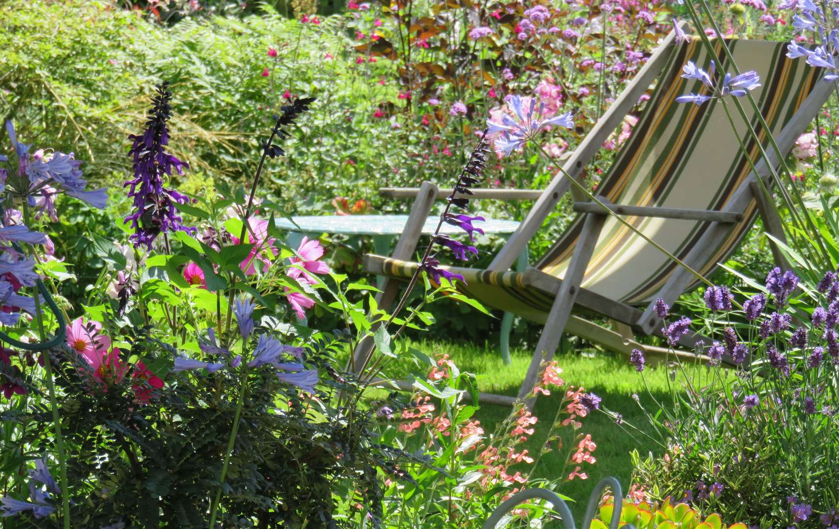 Discover lots of wildlife in this Gravesend garden. Picture: National Garden Scheme