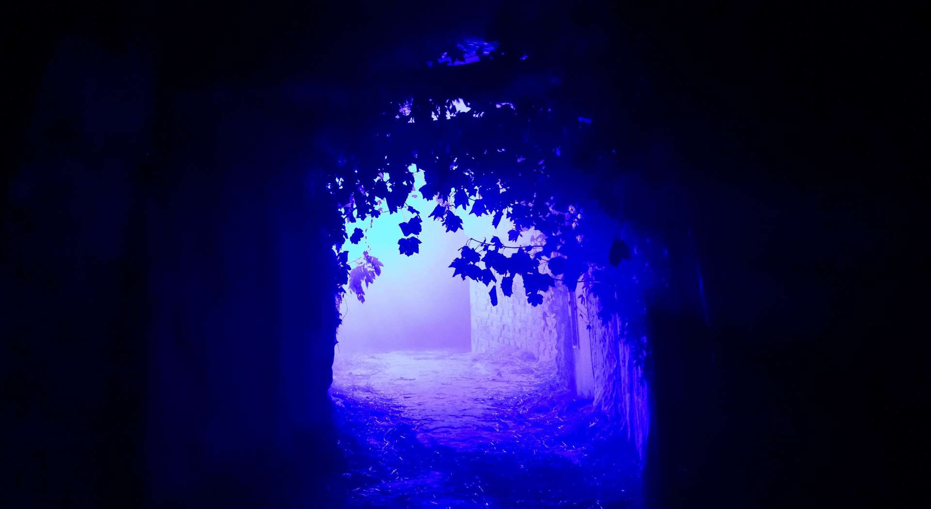 Head into the fort’s tunnels and be prepared for a scare…