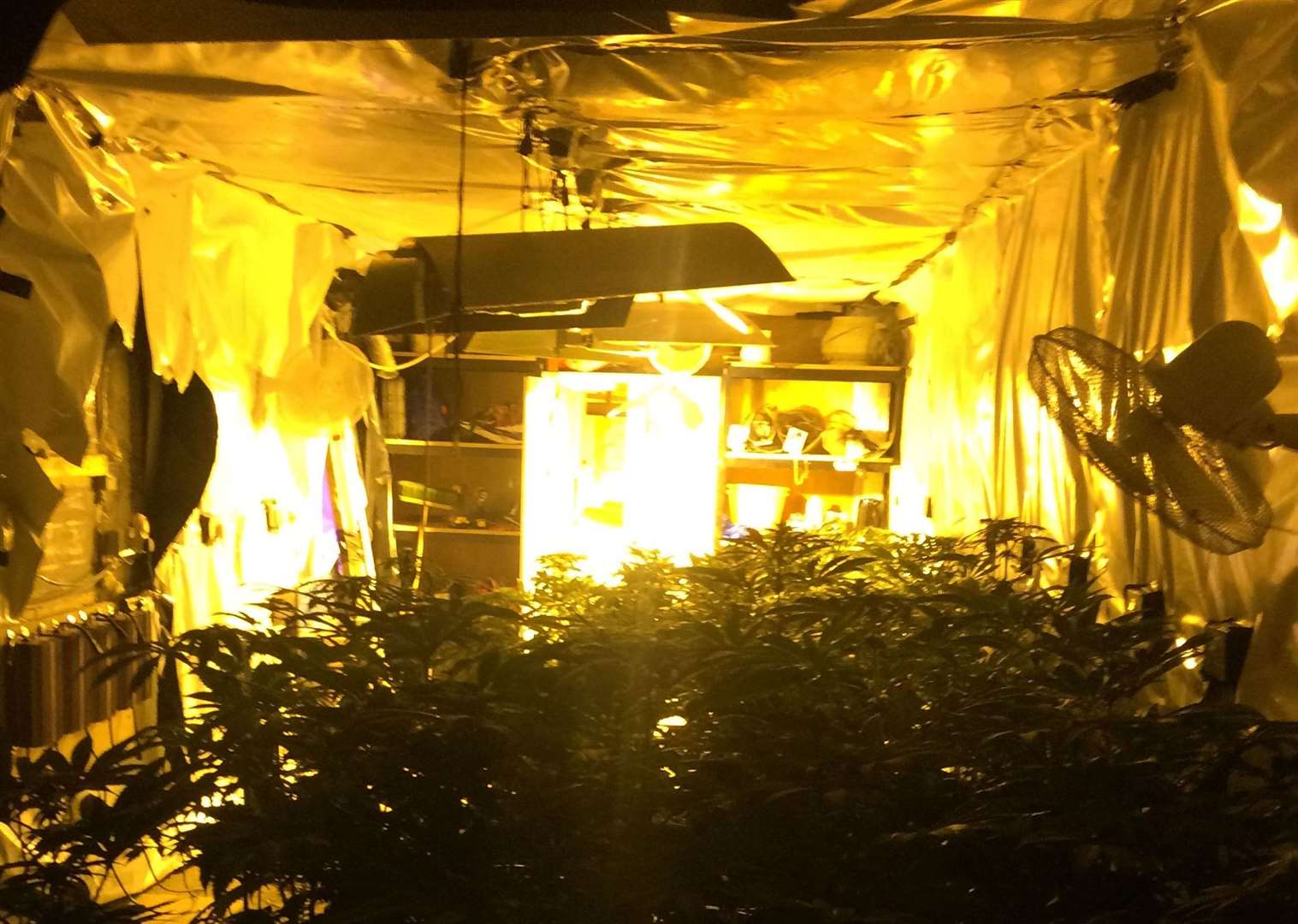 The cannabis farm found in Folkestone. Pictures: Kent Police