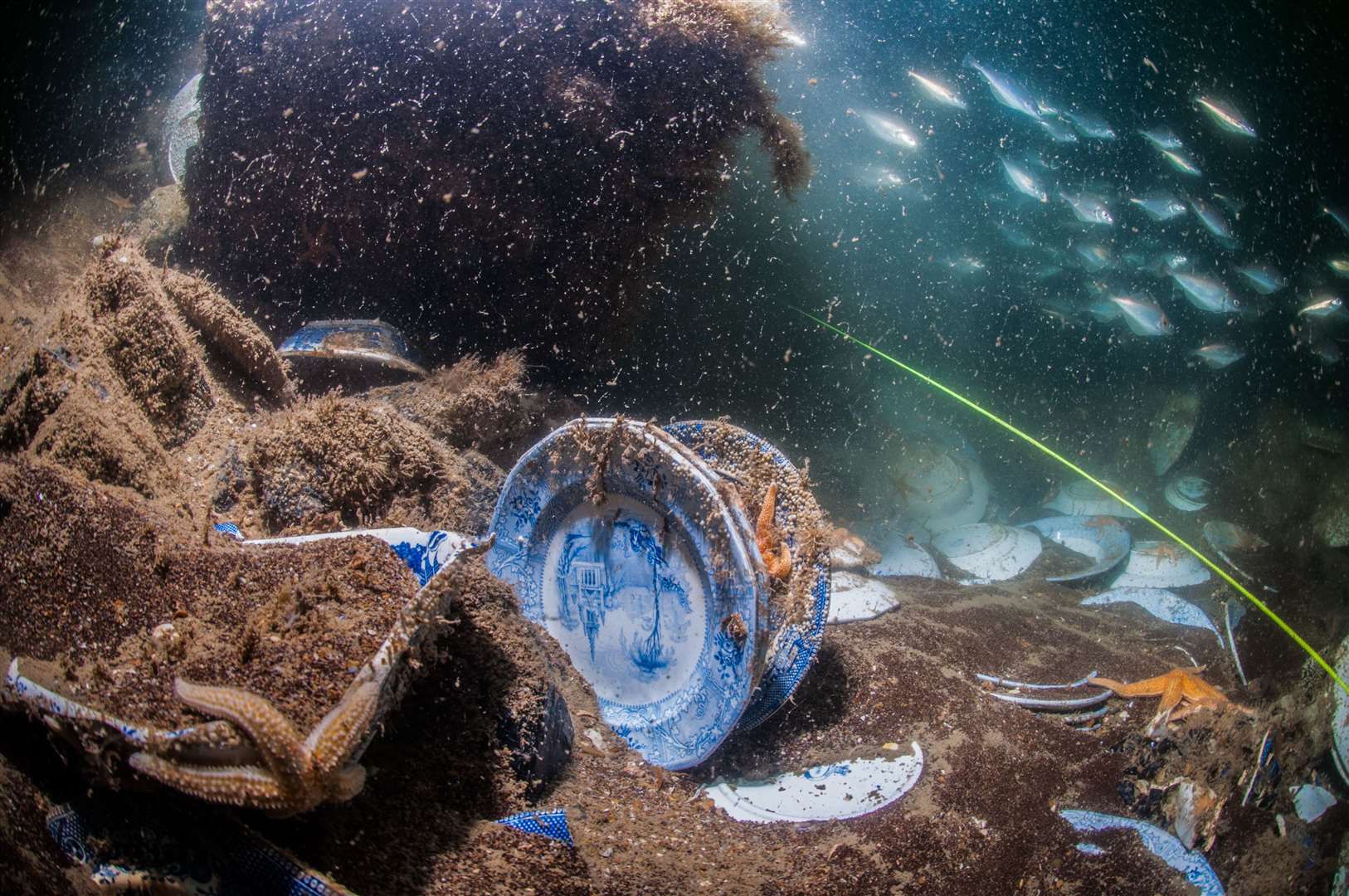 The wreckage was discovered in 2018 by the Folkestone 501 diving club. Picture: Historic England