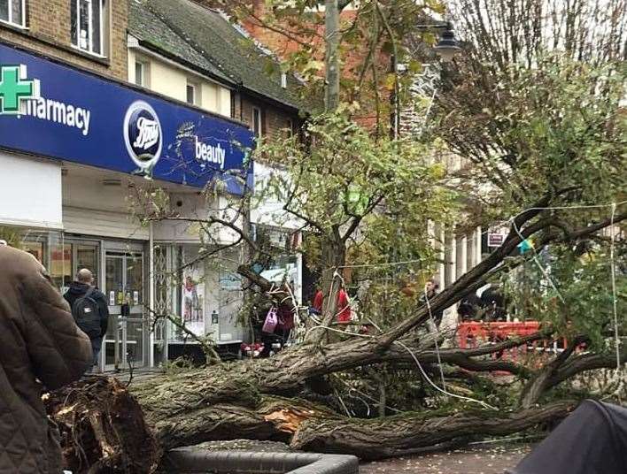 A tree crashed to the ground in Gillingham High Street. Pic Bonnie Young via Medway People Group