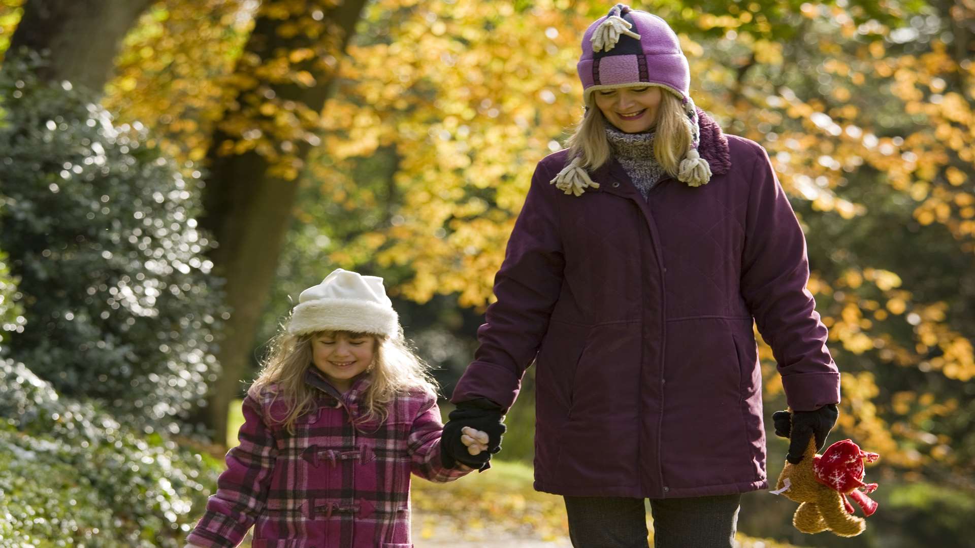 An autumn stroll