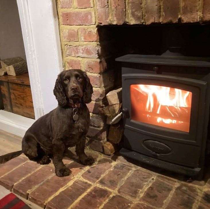 Orla gets ready to snuggle by the fire