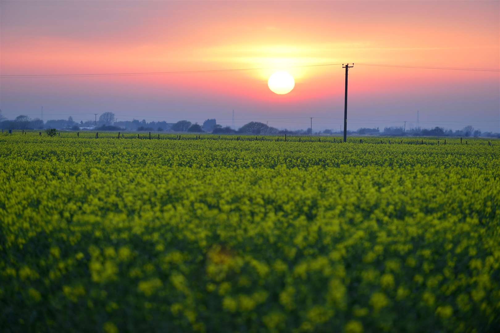 Explore Romney Marsh. Picture: Gary Browne