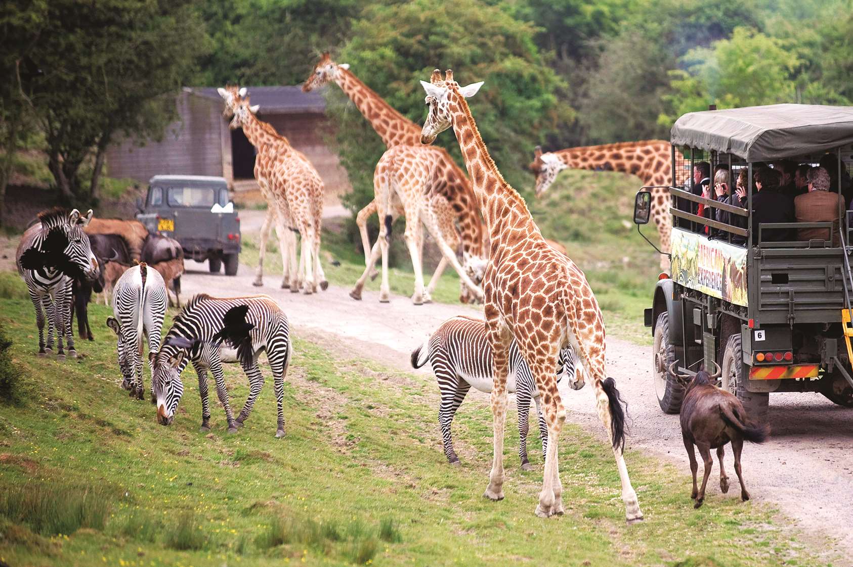 Port Lympne, near Hythe