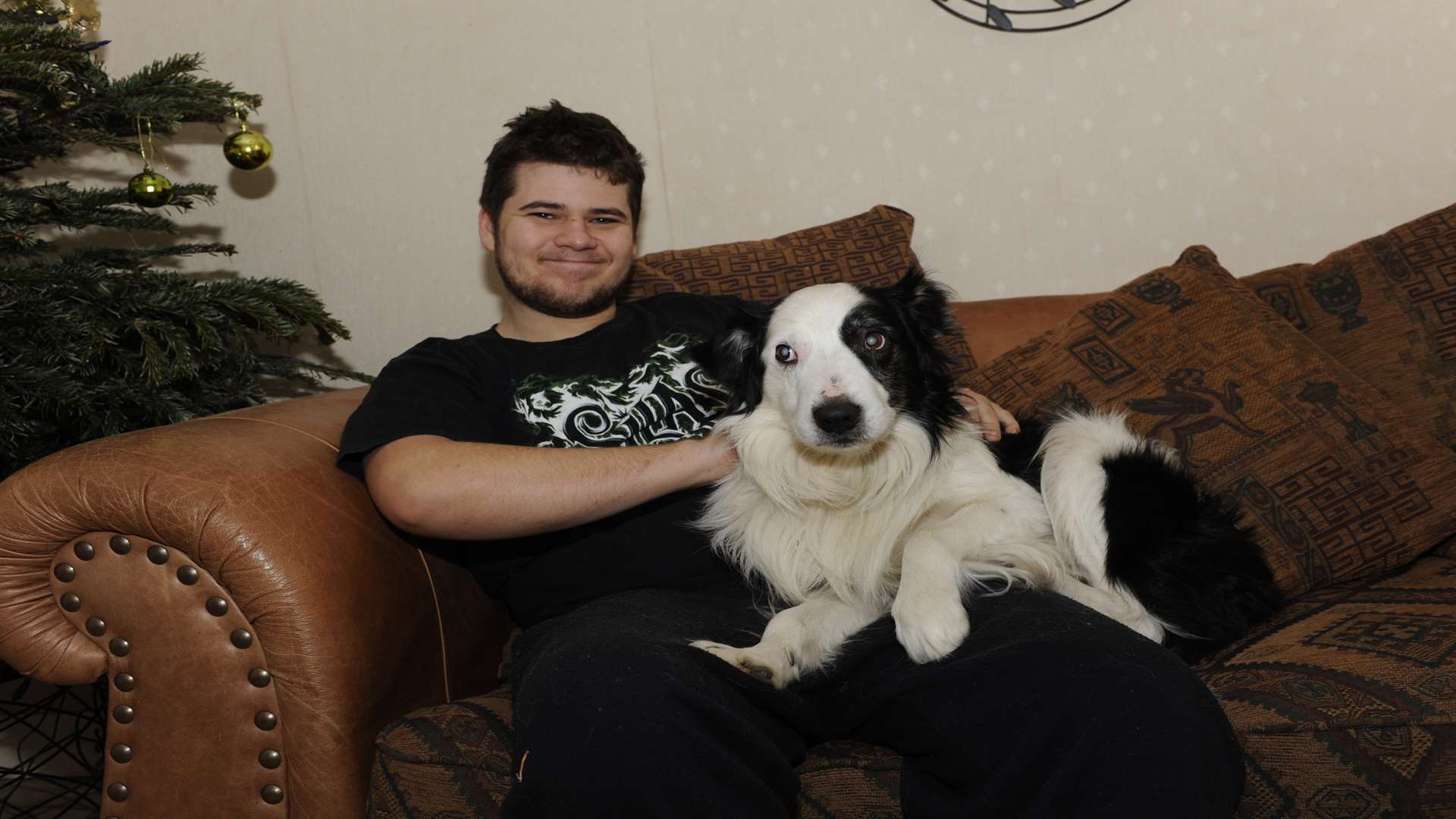 Skippy - a 12-year-old Border Collie - now in more comfortable surroundings