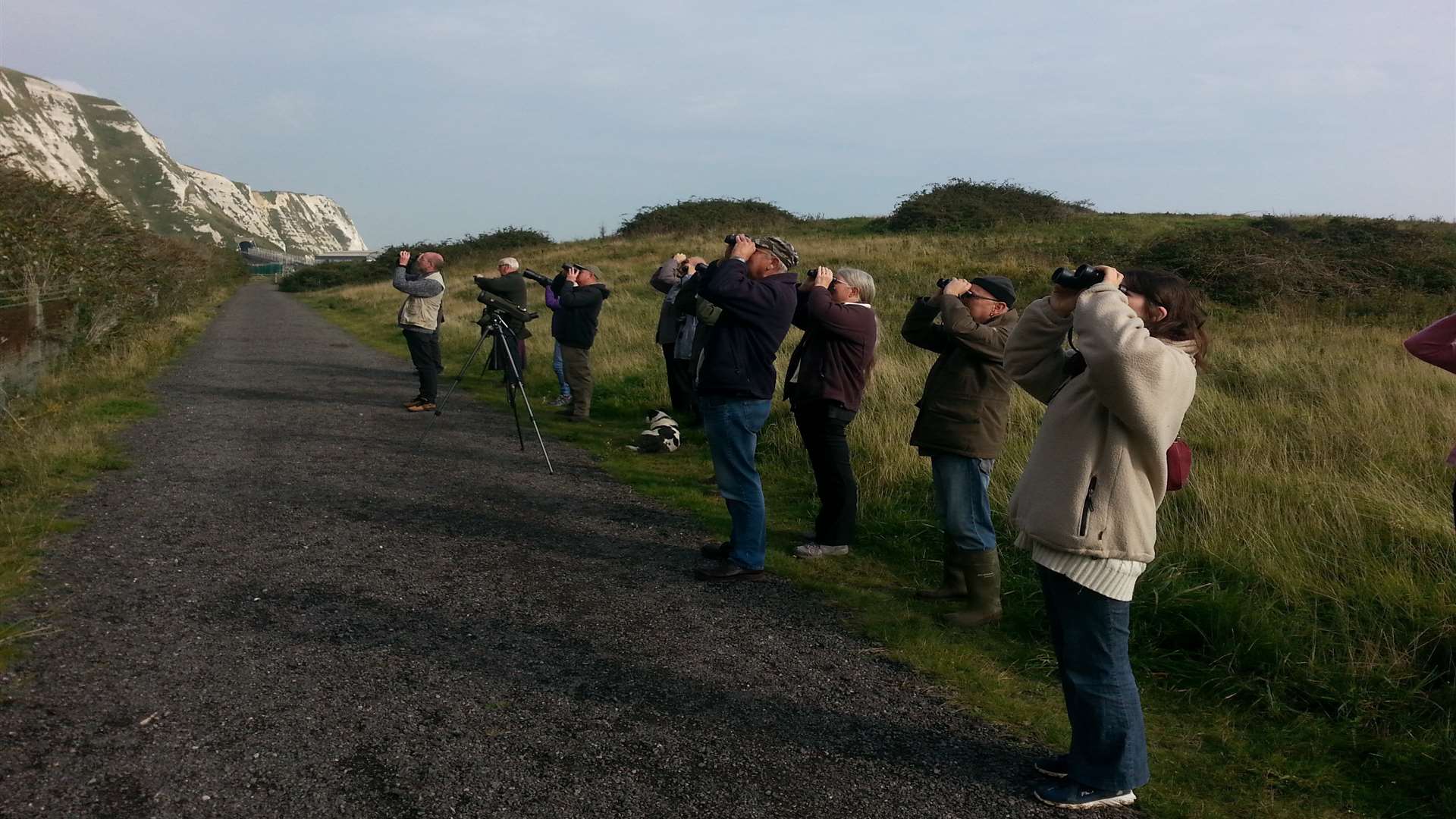 Birdwatchers look for migrating birds