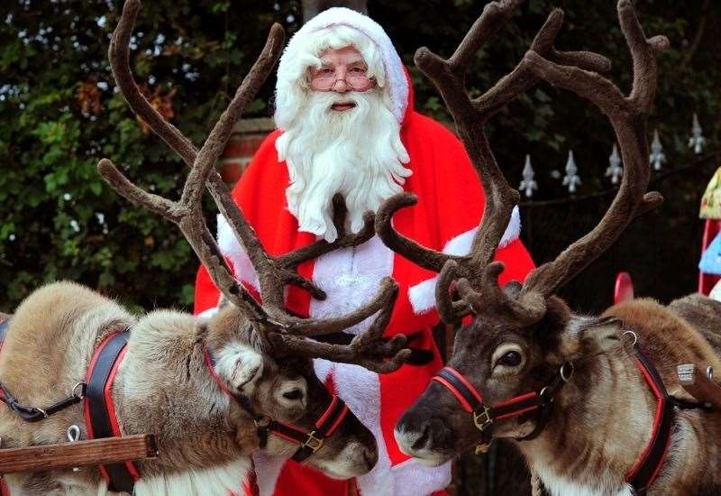 The Reindeer Centre looks after one of the UK's largest reindeer herds all year round. Picture: The Reindeer Centre