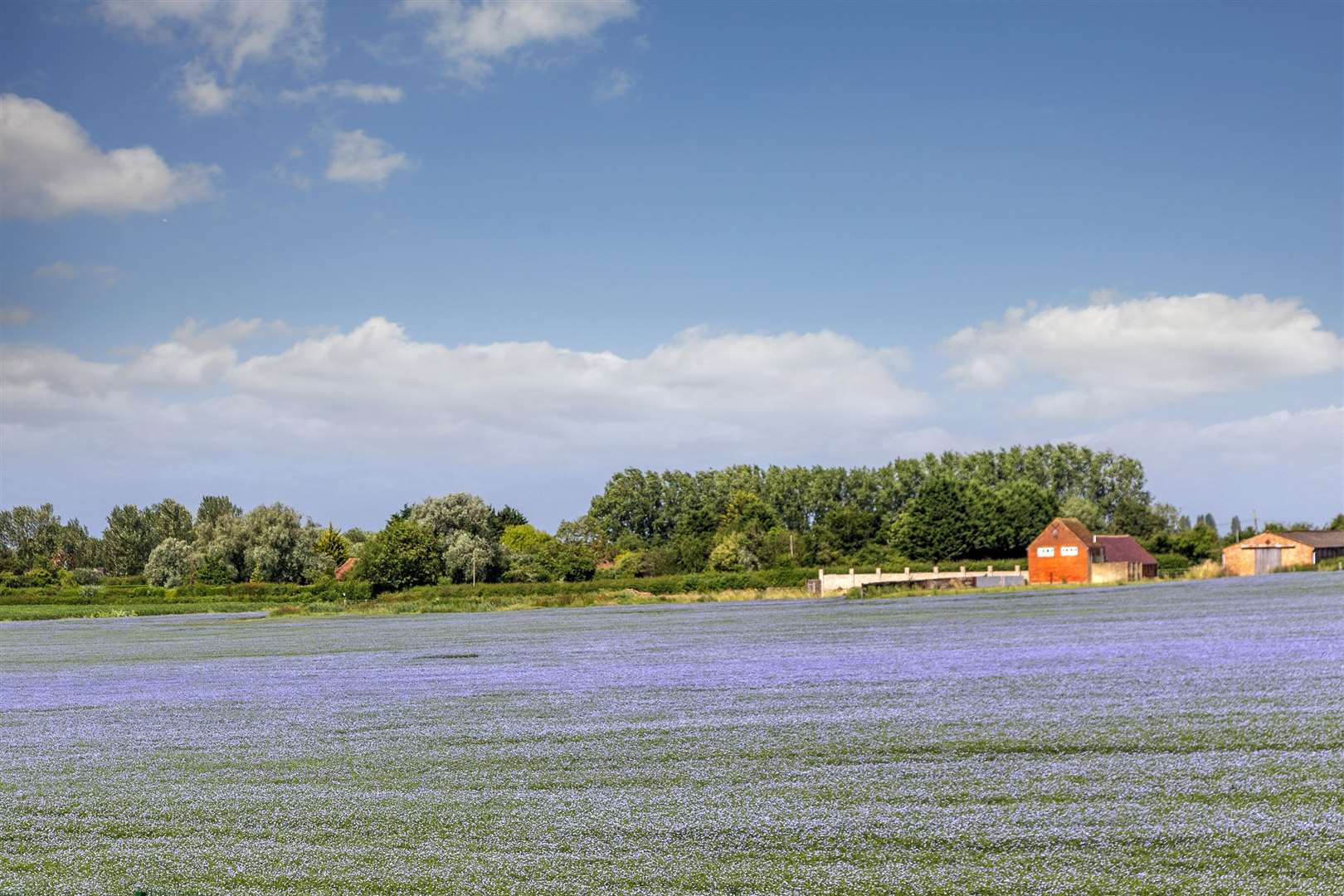 Luke Cooper believes one of the biggest draws for buyers is the surrounding natural landscape. Picture: Steve Mallaby Photography