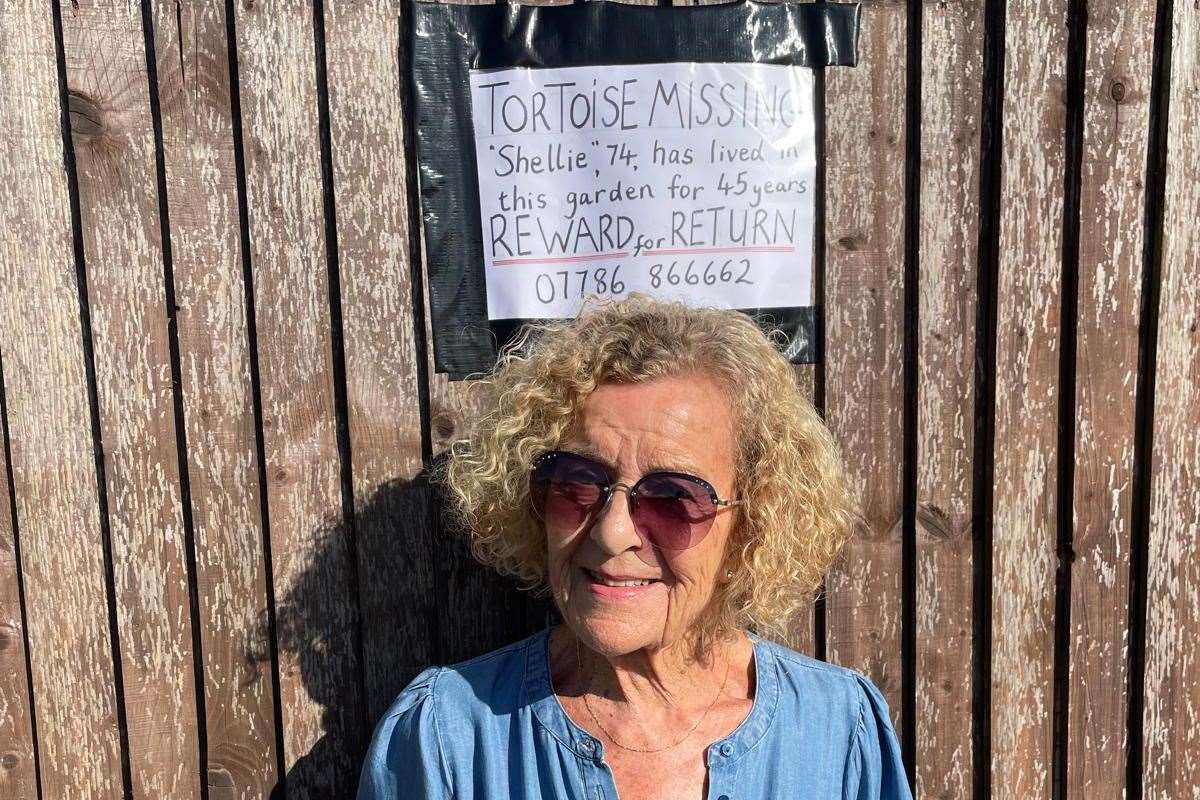 Diana French has put a missing tortoise sign up on her fence in a bid to get the family pet home. Picture: Diana French