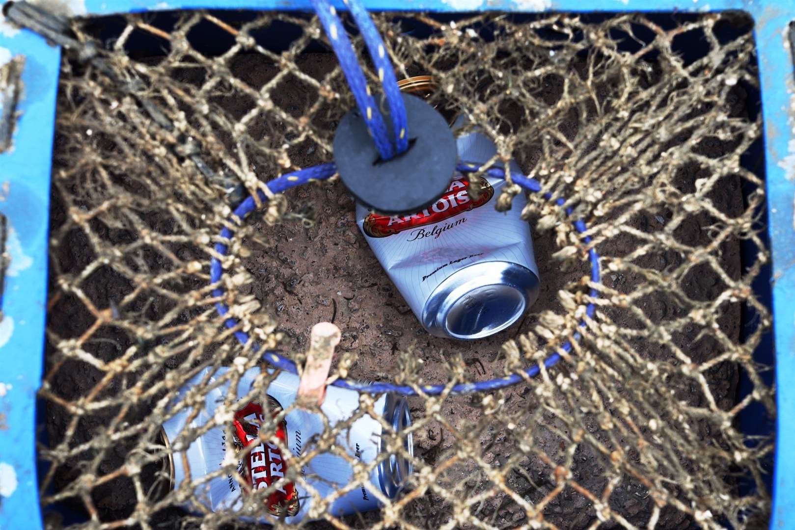 Litter on the West Quay, Whitstable. Picture: Alex Hughes