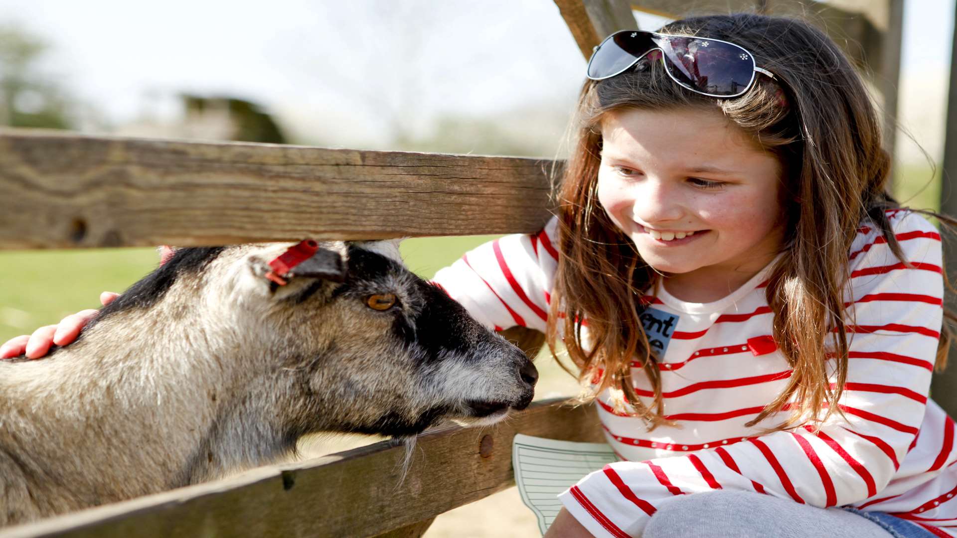 Kent Life has plenty of animals to see. Picture: Matthew Walker Photography