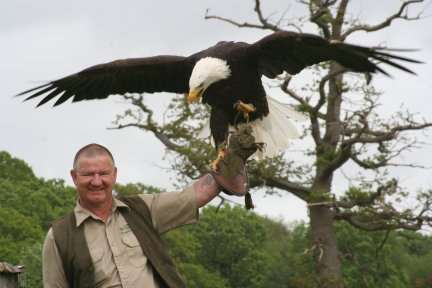 Eddie Hare with Helga the Eagle enjoying happier times.