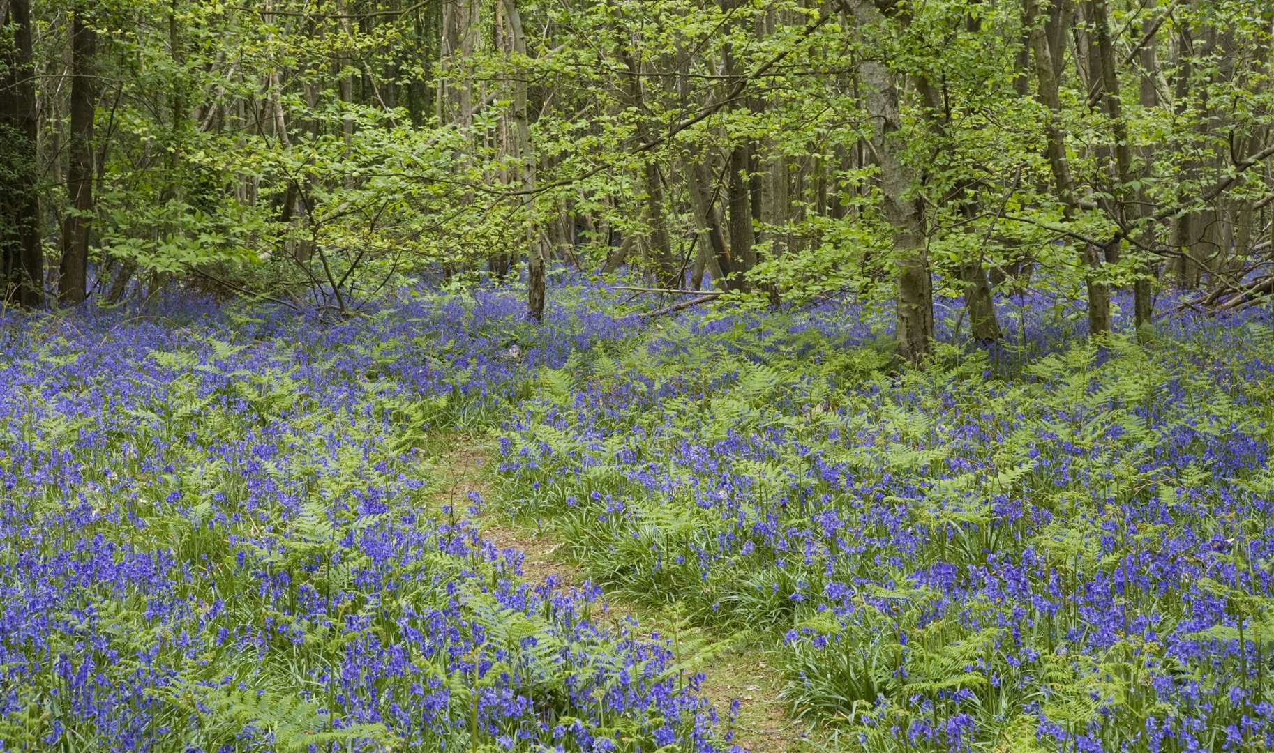 Lonely Planet has been providing global travel guides for more than 50 years. Picture: ©National Trust Images / Jonathan Buckley