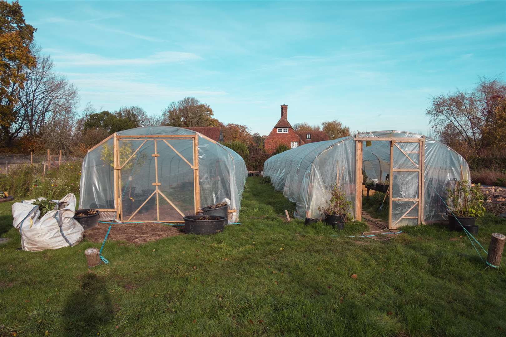 Chef Will Devlin's small holding where he grows the food for his restaurant. Picture: SWNS