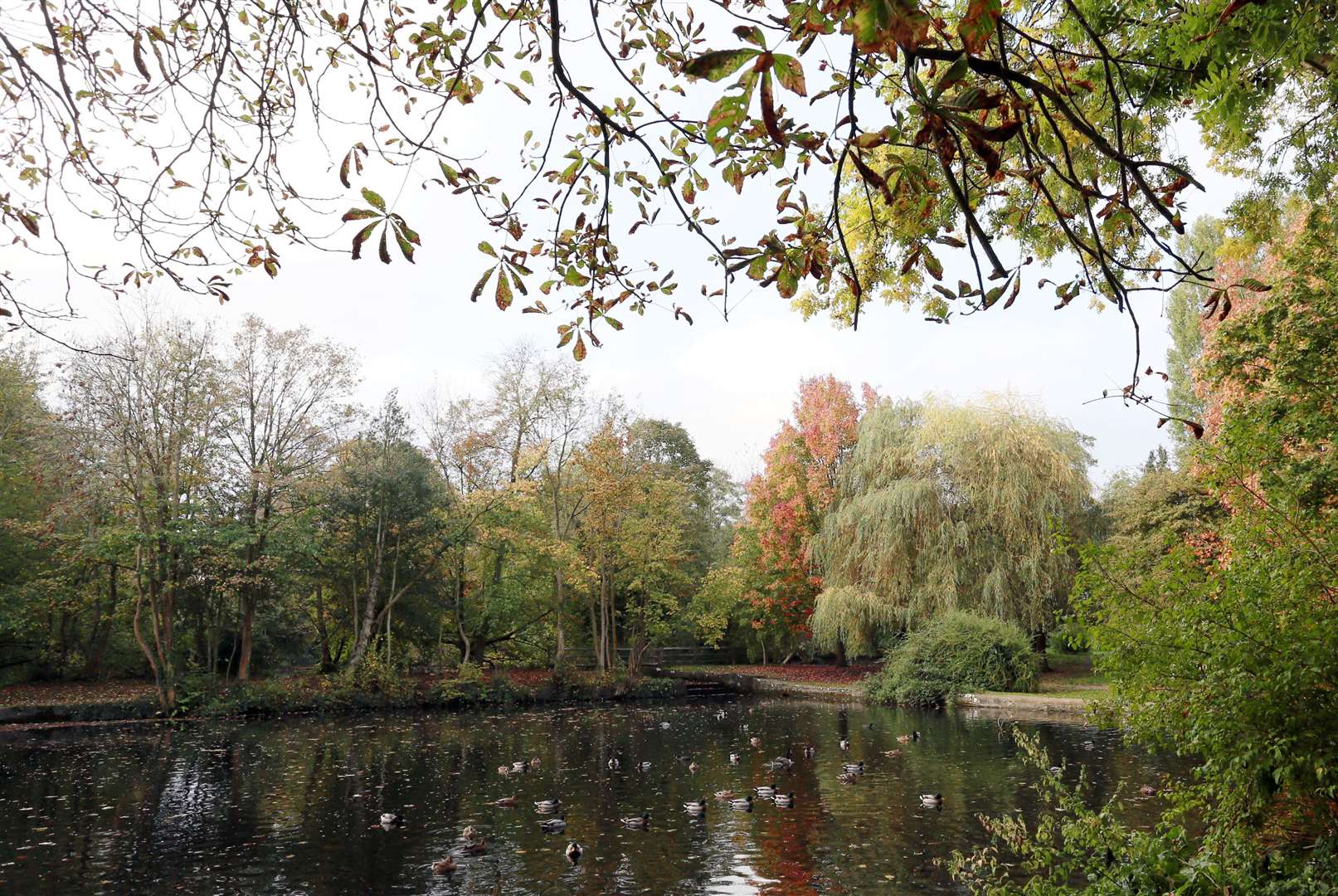 Sevenoaks made it into the top 30 happiest towns to live in Britain. Picture: Phil Lee Photographics