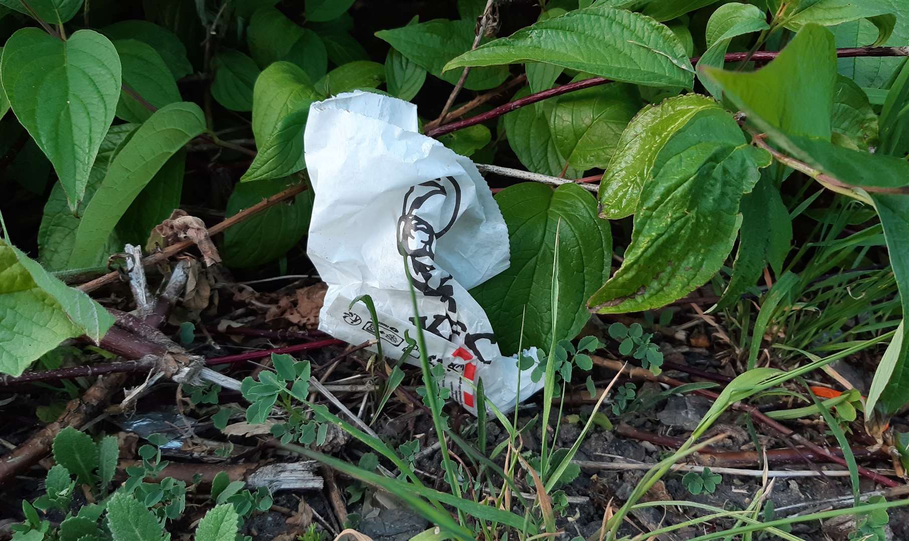 KFC packaging has been photographed on Eureka Park in Ashford