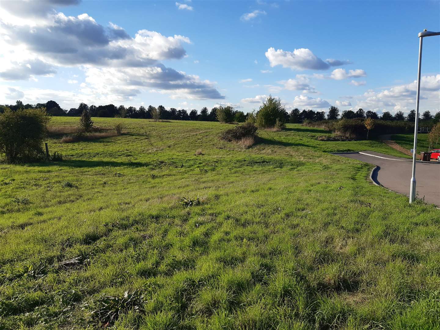 Part of the proposed Village Green at Bunyards Farm