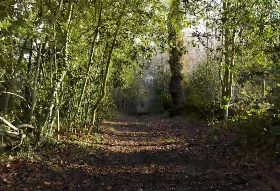 Longspring Woods near Oak Lane is on the market. Picture: Sevenoaks Town Council