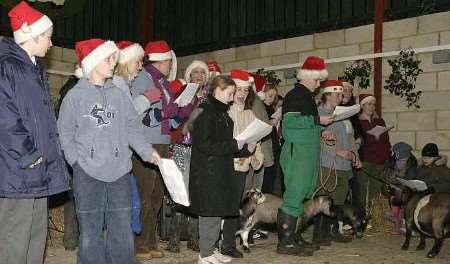 ANIMAL MAGIC: carols with the animals at the school