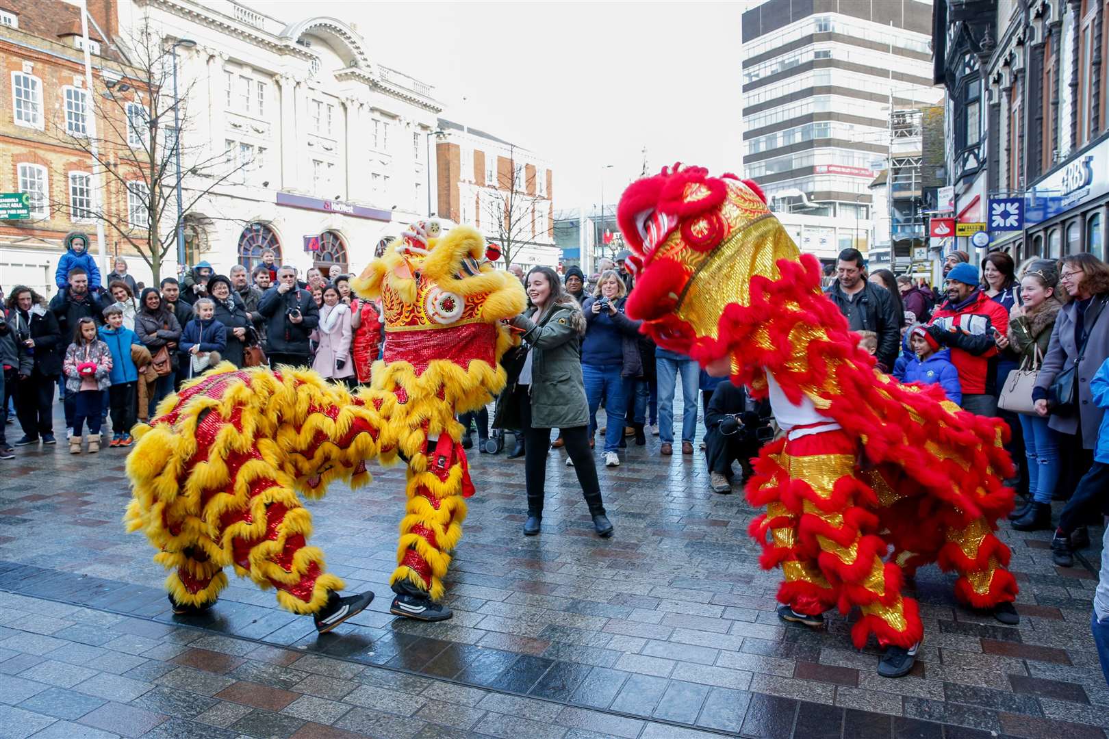 Lions in Jubilee Square at the last event